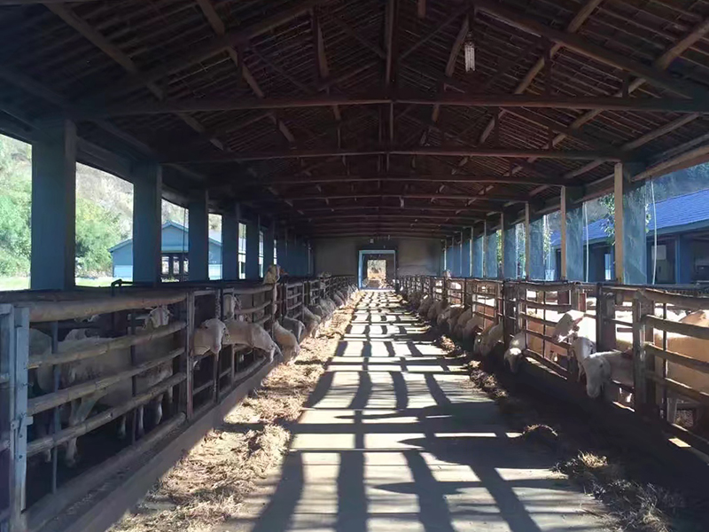 養殖場地